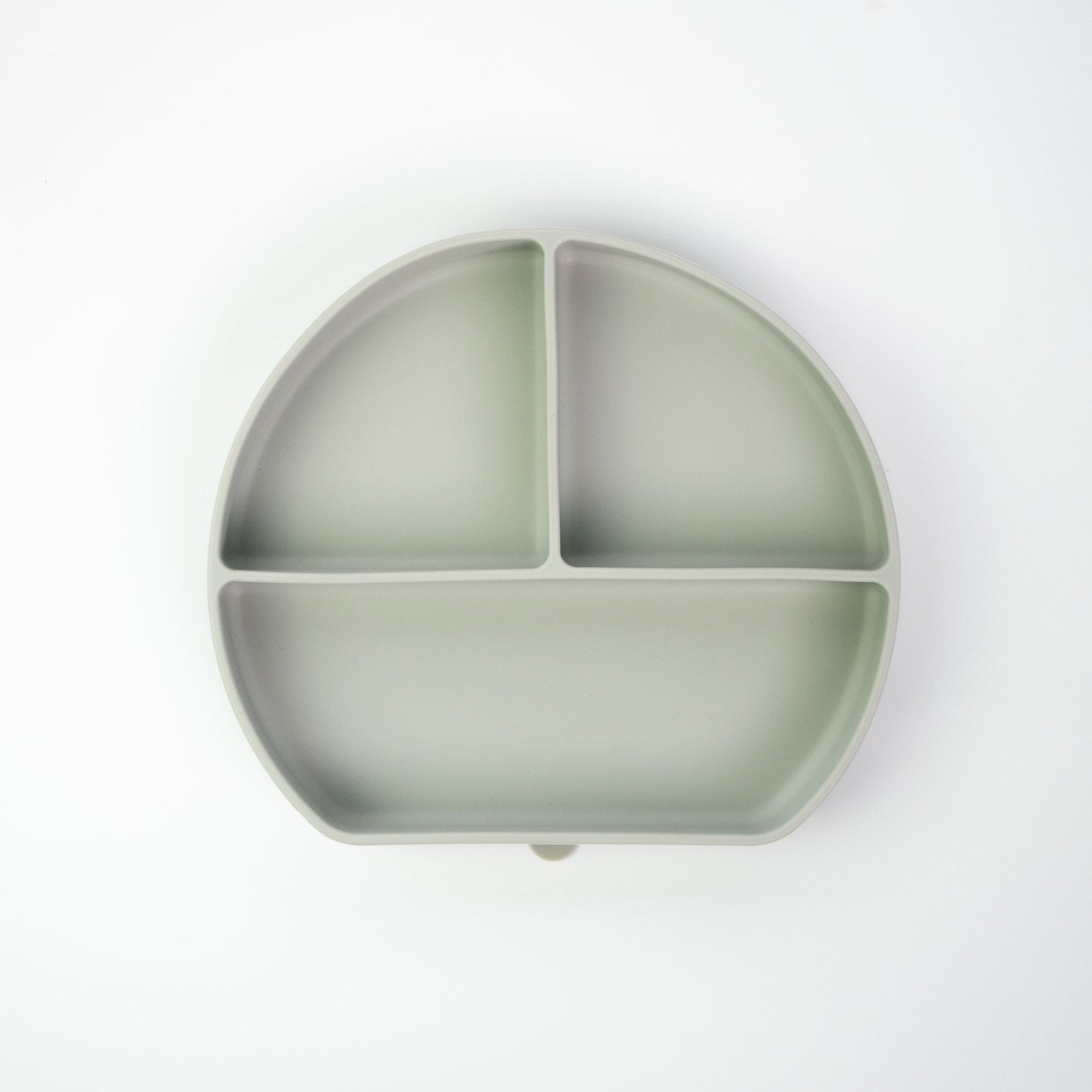 Grow with Bearnie Divider Suction Plate - Little Bearnie 