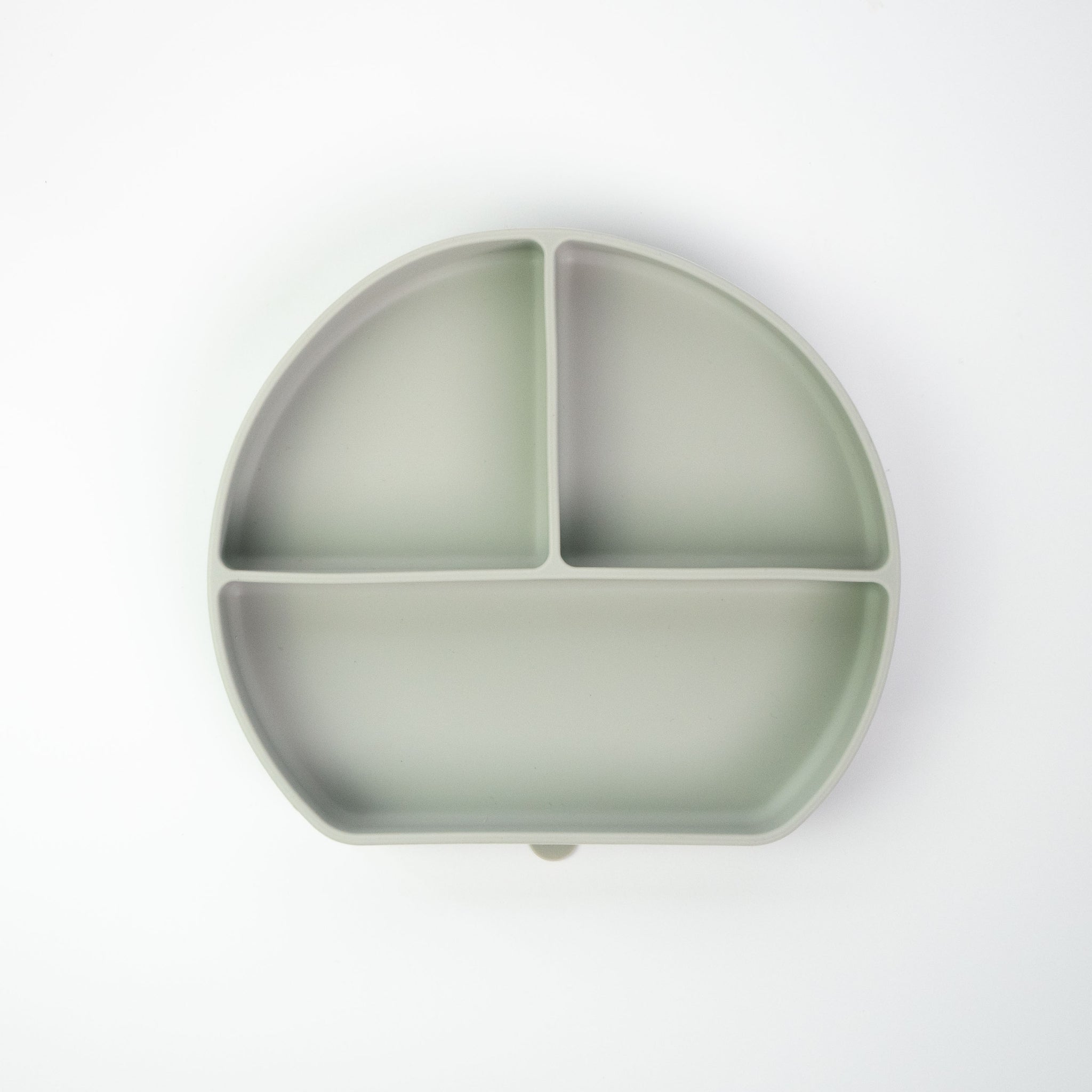 Grow with Bearnie Divider Suction Plate - Little Bearnie 
