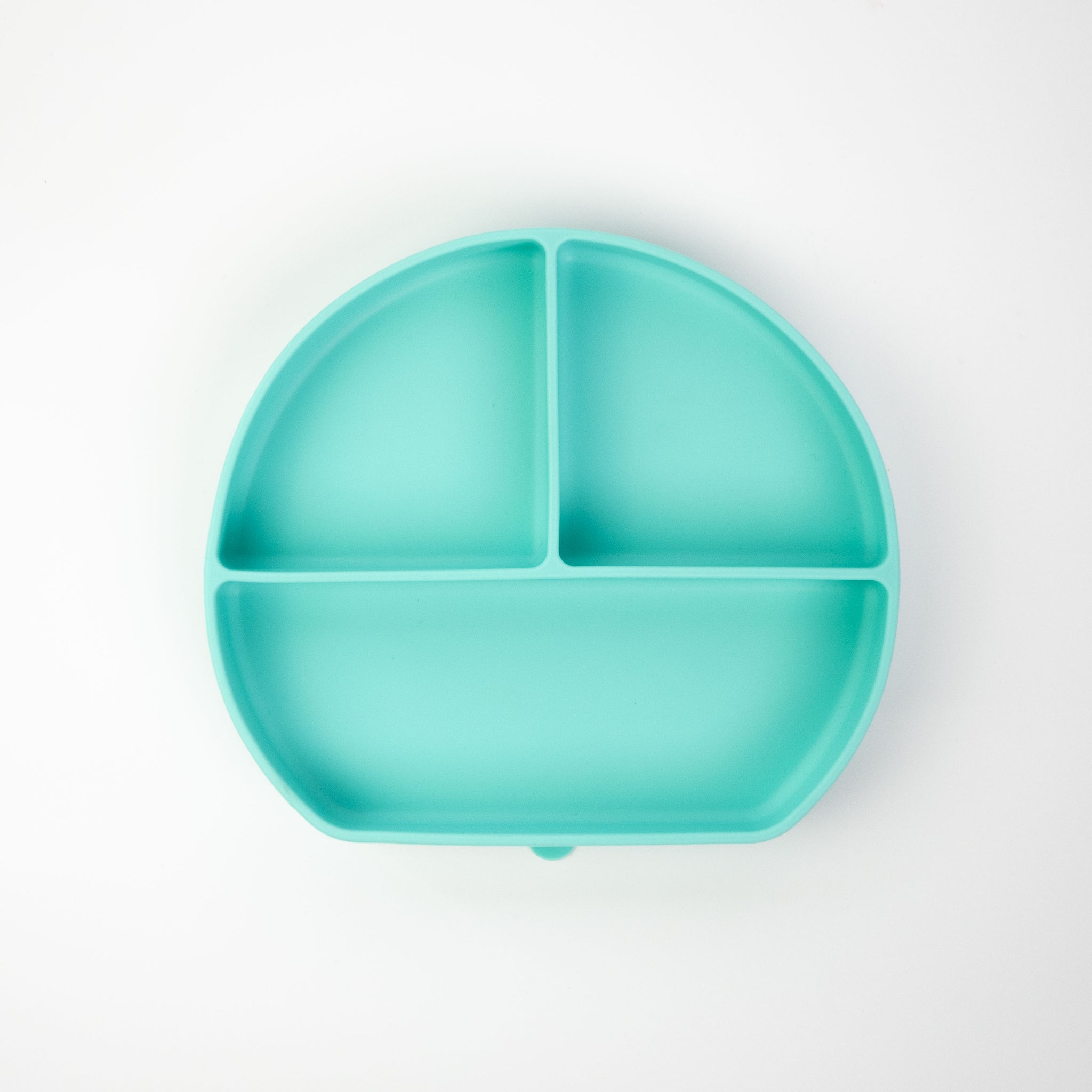 Grow with Bearnie Divider Suction Plate - Little Bearnie 