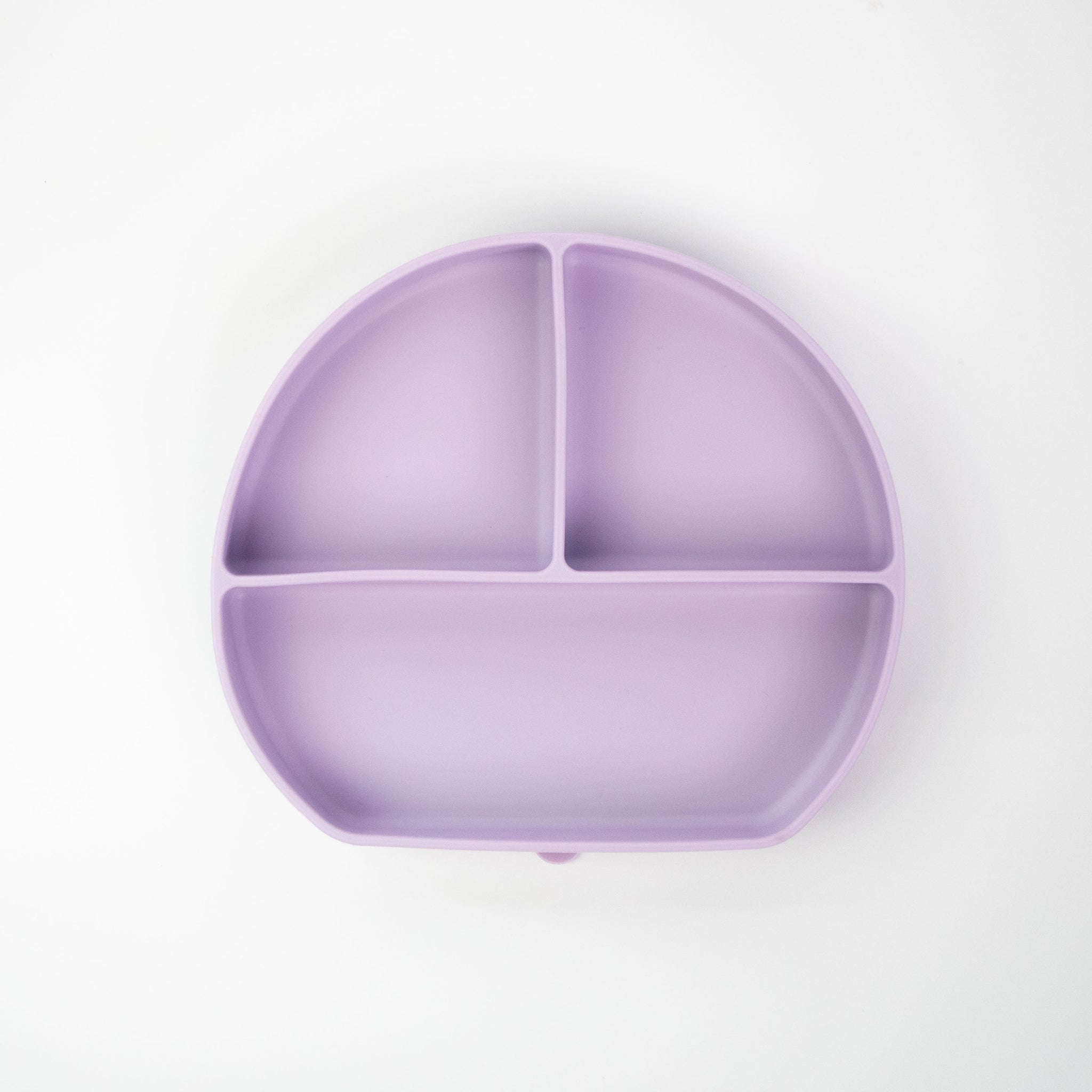 Grow with Bearnie Divider Suction Plate - Little Bearnie 