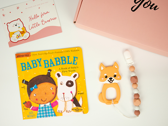 Little Reader Gift Set - Teether & Indestructibles Book Range - Little Bearnie 