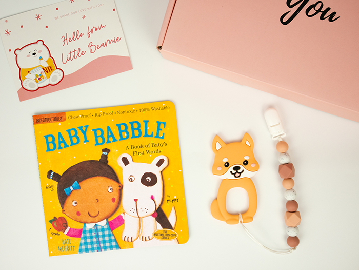 Little Reader Gift Set - Teether & Indestructibles Book Range