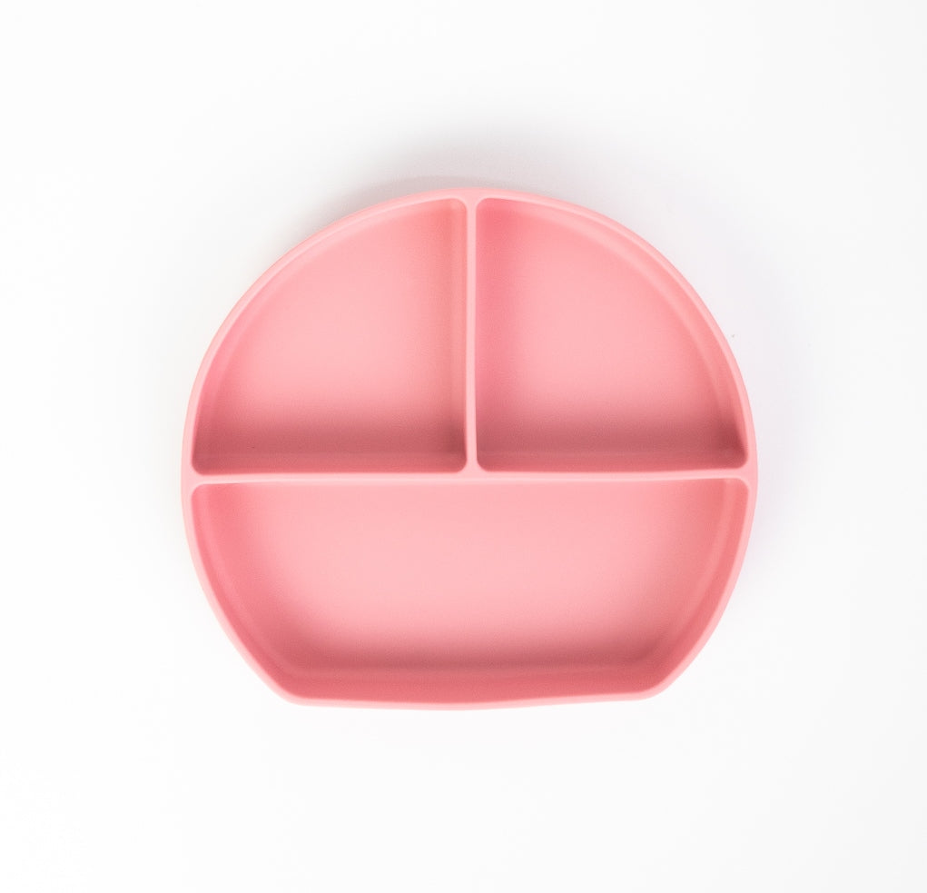 Grow with Bearnie Divider Suction Plate - Little Bearnie 